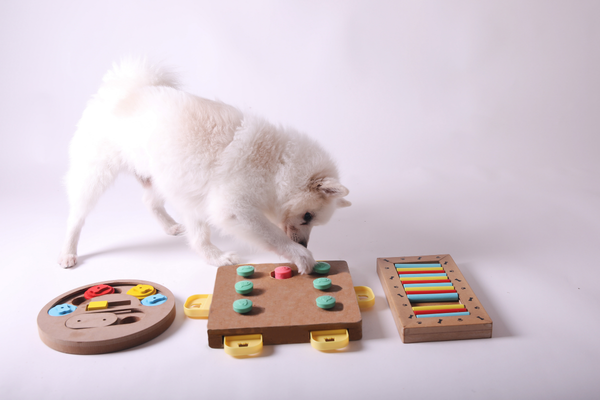 Le tapis de fouille : bien plus qu’un simple jeu pour chien